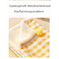 Multi-Use Pet Blanket -Soft Cushion, Blanket, and Pillow for Cats and Small Dogs, Blue XL100*78CM thumbnail
