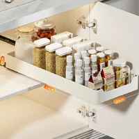Kitchen Cabinet Pull-Out Organizer for Spices, Jars, and Bottles - Space-Saving Storage Solution (25 width -53 depth) thumbnail