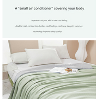 Blue Breathable Cotton Summer Quilt - Lightweight Cooling Blanket for Air-Conditioned Rooms thumbnail