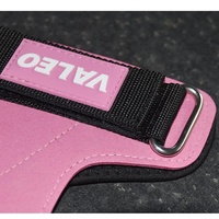 1 Pair Pink Durable Gym Palm Guard with Ultra-fiber Leather for Heavy Lifting – Wrist Support Straps for Pull-ups and Deadlifts thumbnail