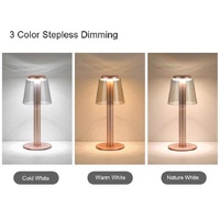 Silver Stylish Transparent Desk Lamp with Touch Control, LED, Type-C Charging - Simple and Modern Design thumbnail