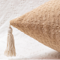 Brown Set of 2 Textured Velvet Throw Pillow Covers with Tassels - Decorative Square Cushions 45*45cm thumbnail