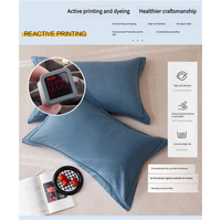 Blue Pure Cotton Flannel Pillowcase Set - Soft, Thickened, Solid Color (Pair, 48x74cm) thumbnail
