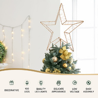 100 LED Christmas Lights Fairy Light Ground Star Garden Decoration Jingle Jollys thumbnail