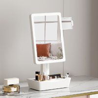 Embellir Makeup Mirror 10X Magnifying with LED light Storage Cosmetic Mirror thumbnail