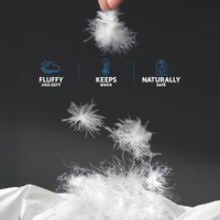 Giselle Bedding 700GSM Duck Down Feather Quilt King thumbnail