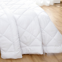 Microfiber/Bamboo Blend, Hypoallergenic & Antibacterial Quilt - Queen thumbnail