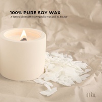 400g Golden 464 Soy Wax Flakes - 100% Pure Natural DIY Candle Melts Chips thumbnail