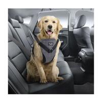 L Dog Harness 2 in 1 Combo - Car Travel Rides + Walks - No Pull Leash Seat Belt thumbnail