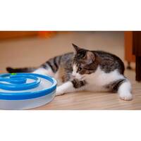 Interactive Cat Track Circle with LED  Sound Light Rolling Ball - Chase Play Toy thumbnail