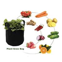 6 Pck 10 Gallon Fabric Flower Pots 38L Garden Planter Bags Black Felt Root Pouch thumbnail