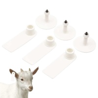 100x Cattle Ear Tags 5x2cm Set - Mini White Blank Pig Goat Livestock Label thumbnail