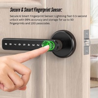 Tooleroo Digital Smart Door Lock Handle - 5in1 Keypad Home Entry Security System thumbnail