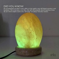 USB Colour Changing Egg Shape Himalayan Pink Salt Lamp Color Change LED Light thumbnail