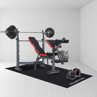 Powertrain 2m Exercise Equipment Mat thumbnail