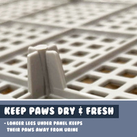 Dog Pet Potty Tray Training Toilet Portable T3 BLUE thumbnail