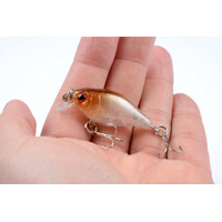 5x 4.3cm Popper Crank Bait Fishing Lure Lures Surface Tackle Saltwater thumbnail