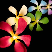 1 Set of 20 LED Tropical Bright Colous Frangipani Flower Battery String Lights Christmas Gift Home Wedding Party Decoration Outdoor Table Centrepiece thumbnail