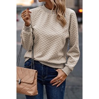 Beige Solid Textured Raglan Sleeve Pullover Sweatshirt - XL thumbnail