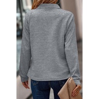 Light Grey Quarter Zipper Collared Ribbed Knit Plus Size Top - 1X thumbnail