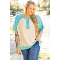 Mint Green Color Block Raglan Sleeve Buttoned Plus Size T Shirt - 2X thumbnail