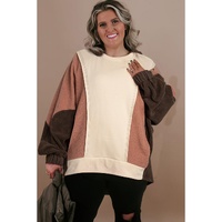 Brown Exposed Seam Colorblock Plus Size Hoodie - 4X thumbnail