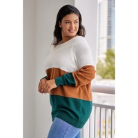 Brown Plus Size Ribbed Trim Color Block Sweater - 1X thumbnail
