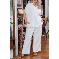 Beige Plus Size Textured Collared Top and Pants Set - 1X thumbnail