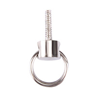 Universal Lanyard Screw for Iphone Models 11 14 thumbnail