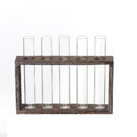 Minimalist Hydroponic Glass Vase with Wooden Frame for Coffee Shop Decor thumbnail