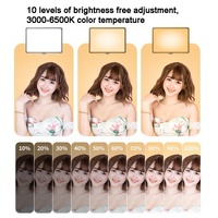 42cm Bracket Live Fill Light with 10 Three-colour Temperature for Photography thumbnail