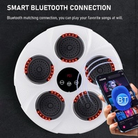 Wall Hanging Bluetooth Music Boxing Trainer - Red / Black thumbnail
