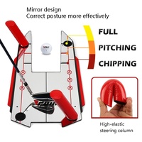 Improve Golf Swing with Training Mirror thumbnail