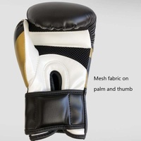 Professional Boxing Gloves For Adult Training - 10Oz Muay Thai Fighting - Fluorescent Green thumbnail