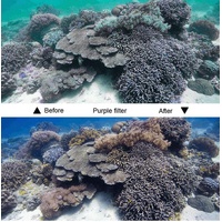 Waterproof Housing Case for Gopro Hero6 / 5 with Touch Screen Back Cover - 45m thumbnail