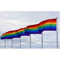 DELUXE RAINBOW GAY PRIDE FLAG Outdoor Banner 150x90cm 3x5ft with Metal Eyelets thumbnail