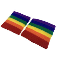 2x RAINBOW WRISTBANDS Gay Lesbian Pride LGBT Mardi Gras Party thumbnail