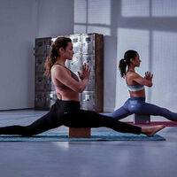Adidas Yoga Cork Block Home Gym Fitness Exercise Pilates Tool Brick - Brown thumbnail