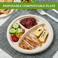 600pcs Disposable Sugarcane Bagasse 3-Compartment Paper Plates Eco 23cm (9") Bulk thumbnail