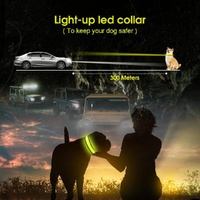 LED Dog Cat Collar USB Rechargeable Nylon Glow Flashing Light Up Safety Puppy thumbnail
