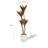 Faux Cordyline fruticosa Tree thumbnail
