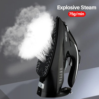 2200W Professional Steam Iron with Ceramic Soleplate thumbnail
