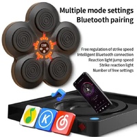 Smart Interactive Boxing Target Wall Pad with Boxing Gloves for Adult - LED Training Board with Bluetooth Music and Adjustable Speed thumbnail