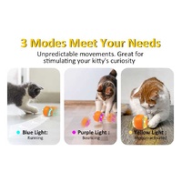 Interactive Electric Cat Toy Ball – Rechargeable Smart Rolling Pet Ball thumbnail