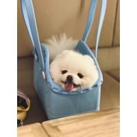 Blue Portable EVA Pet Handbag - DIY Custom Decoration Carrier for Small Pets, Beach, and Outdoor Use (Large Capacity) thumbnail