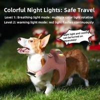 Size L Pink Pet Cooling Harness  LED Lights & Leash - Summer Relief for Small Dogs and Cats thumbnail