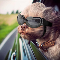 Silver Lenses Pet Sunglasses for Dogs and Cats - UV Protection, Adjustable Strap, Anti-Wind and Anti-Fog Pet Goggles thumbnail