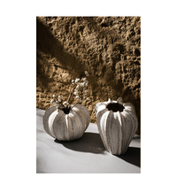 Charming White Ceramic Vase – Stylish Home Decor Accent for Flowers and Decorative Arrangements thumbnail