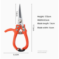 2 pcs Effortless Garden Pruning Shears - Sharp, Durable Branch Trimmers thumbnail