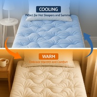 Giselle 5cm Mattress Topper Pillowtop toppers Double-Sided Single thumbnail